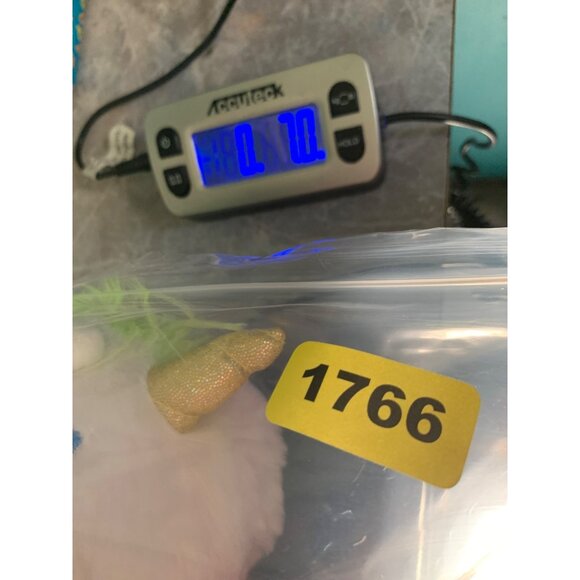 Lullabrights Magical 2020 Musical Light Up Play by Jay Unicorn Plush Stuffed Ani - Picture 8 of 8